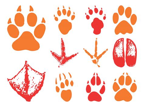 Animal Footprints Vector Art & Graphics | freevector.com