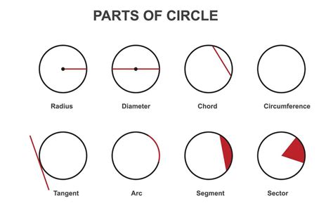 different parts of a circle. Radius, diameter, circumference, chord ...