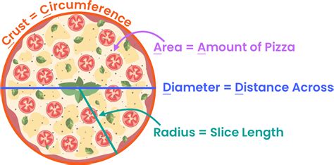 Circumference and Area of Circles | Almost Fun