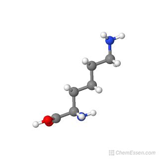 L-lysine Structure - C6H14N2O2 - Over 100 million chemical compounds ...