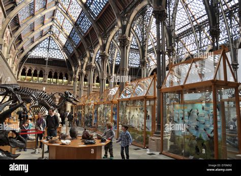 Oxford museum details dinosaurs hi-res stock photography and images - Alamy