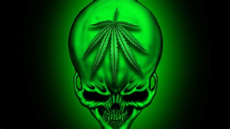 🔥 [50+] Wallpapers of Weed Skull | WallpaperSafari