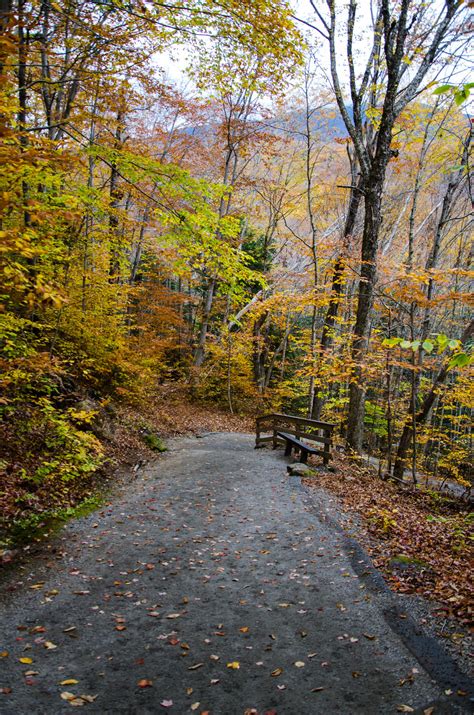 White Mountains Fall Foliage 076 by FairieGoodMother on deviantART