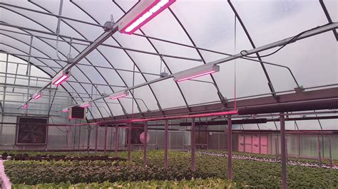 The Latest Innovations in Greenhouse Lighting - Greenhouse Grower