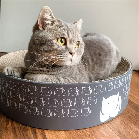 CatLoaf Luxury Cat Scratcher Bed By Jin Designs | notonthehighstreet.com