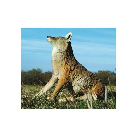 Flambeau Master Series Lone Howler Coyote Decoy - 676509, Decoys at ...