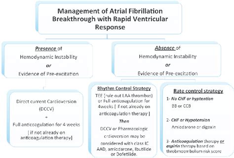 Management of atrial fibrillation breakthrough with rapid ventricular ...