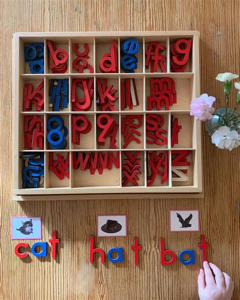 Montessori 3-6 Language: Moveable Alphabet with Pink Series | Alphabet ...