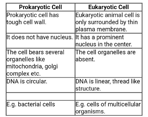 Eukaryotic And Prokaryotic Cells Differences