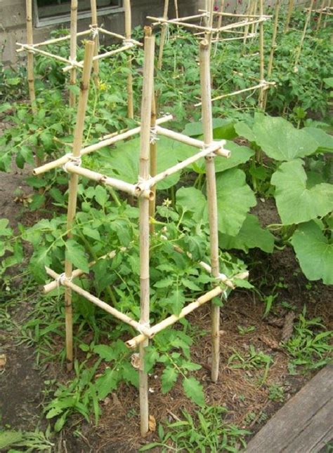 27 DIY Tomato Cage, Trellis & Stake Ideas | Balcony Garden Web