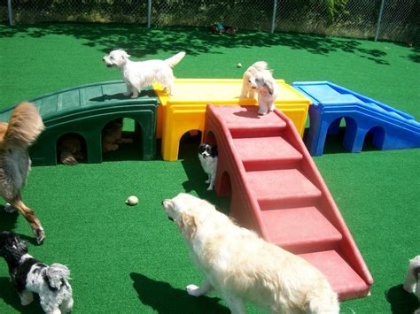 Puppy Playground Equipment & Turf | Puppy playground, Dog playground ...