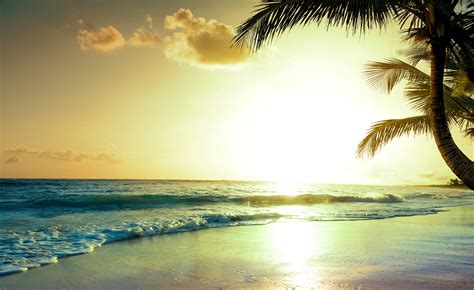 Tropical Beach Sunset 4k Wallpaper,HD Nature Wallpapers,4k Wallpapers ...