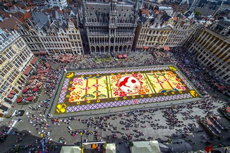 Flower Carpet for Brussels - Topos Magazine