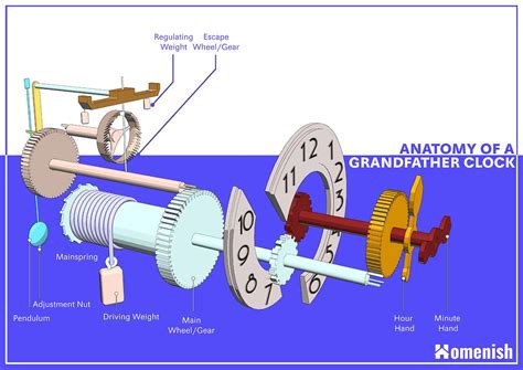 Essential Parts of a Grandfather Clock (Pendulum Clock) with Diagram ...