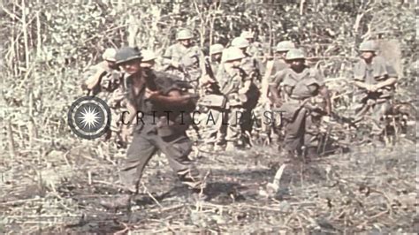 US 199th Light Infantry Brigade troops cross a jungle path during the ...