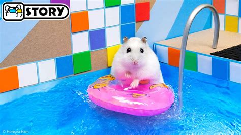 The Awesome Hamster Ball Pool Maze 🐹 Homura Ham Pets - YouTube