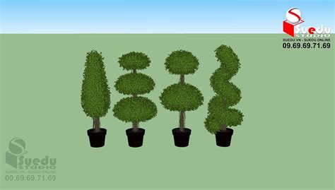 4701 BonSai Tree Sketchup Model Free Download