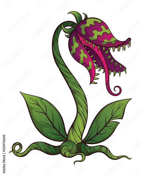 Carnivorous plant. Cartoon flytrap or flower predator. Angry flower ...