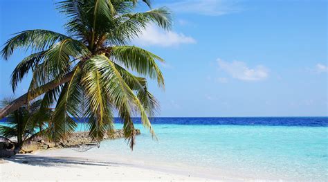 Beach Thursday Pic of the Week – Those Maldives Beaches | Beach Bar Bums