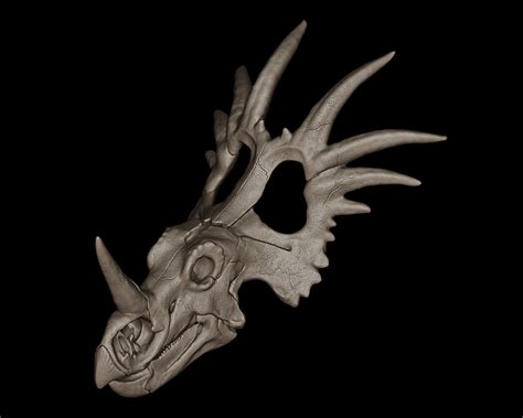 Styracosaurus Skull on Behance