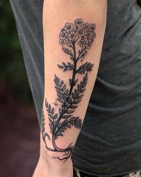 30 Pretty Yarrow Tattoos You Will Love in 2021 | Tattoos, Tattoo you ...