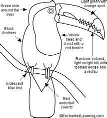 9 Toucans!! ideas | toucans, bird, keel billed toucan