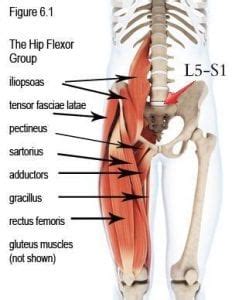 What You Can Do For Hip Flexor Pain | City Physiotherapy Adelaide