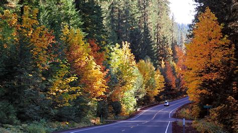 Guide to Fall Foliage in Oregon - Travel Oregon