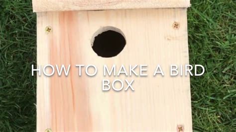 How To Make A Bird Box, How To Make A Wooden Bird Box, RSPB, Creative ...