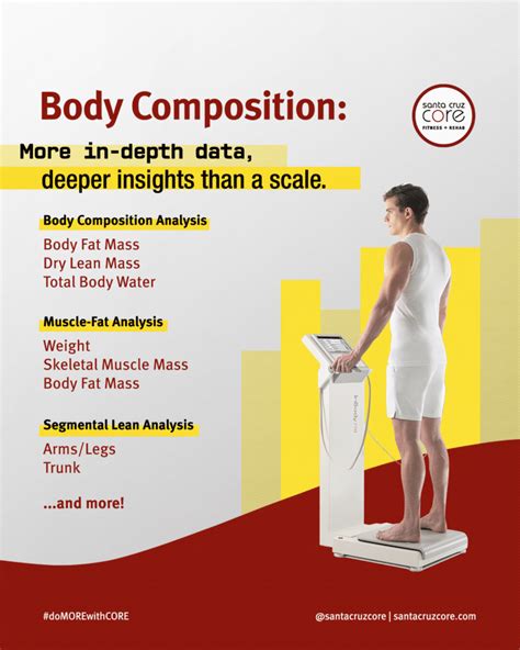 InBody: Accurate Body Composition Analysis in 1 Minute | Santa Cruz ...