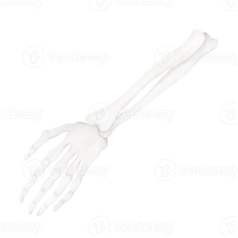 Halloween bone cartoon 28535446 PNG