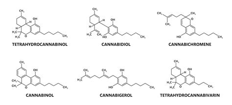 Cannabinoid molecule structure, chemical formula 24395372 Vector Art at ...