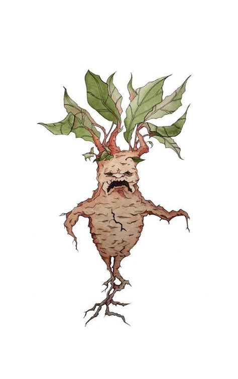 Harry Potter Mandrake watercolor art illustration print | Watercolor ...