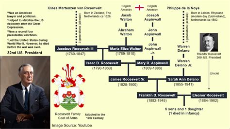 Franklin D. Roosevelt Family Tree : r/UsefulCharts