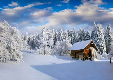 Winter Landscapes Photos