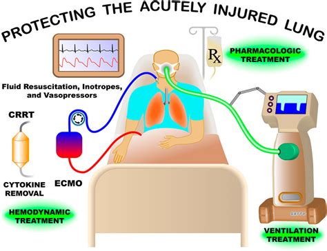 Frontiers | Editorial: Protecting the acutely injured lung: Physiologic ...