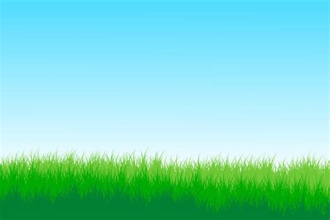 Green Grass Background Hd