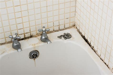 Is Black Mould In The Bathroom Dangerous? | DBS Bathrooms