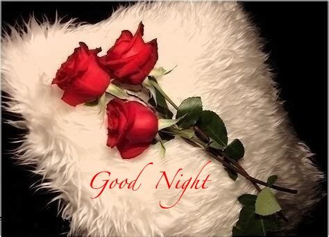 Photos good night my love - Picture good night my love | Messages Love