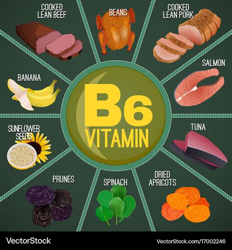 Where Does Vitamin B6 Come From