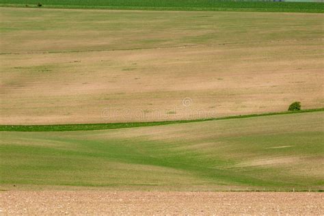 Spring Farm Landscape stock photo. Image of crops, horizontal - 116382538