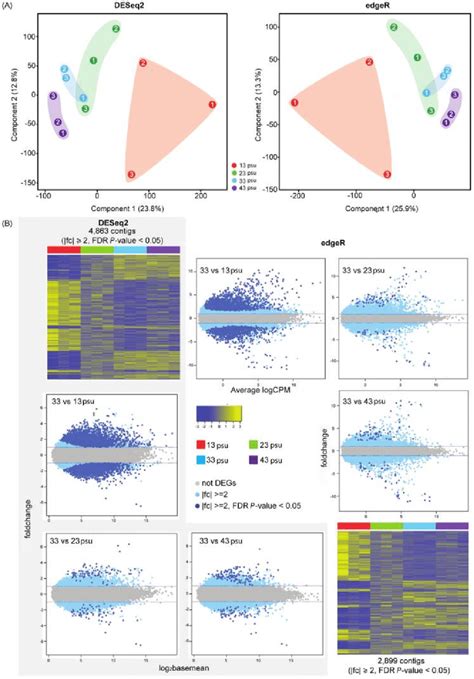 (A) Multidimensional scaling (MDS) plot visualization of distances ...