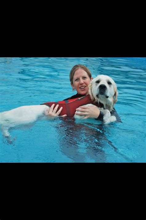 Canine hydrotherapy | Hydrotherapy, Canine, Animals