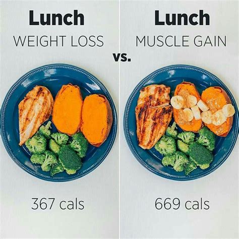 Weight Loss Vs Muscle Gain Meals Ideas Healthy Meal Prep, Healthy Lunch ...