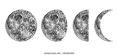 Realistic Moon Phases Image On White Stock Vector (Royalty Free ...