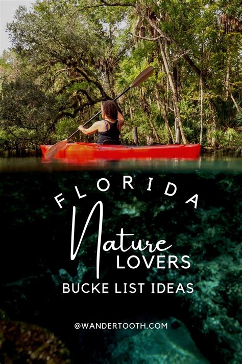 10 Florida Bucket List Ideas for Nature-Lovers - Wandertooth Travel