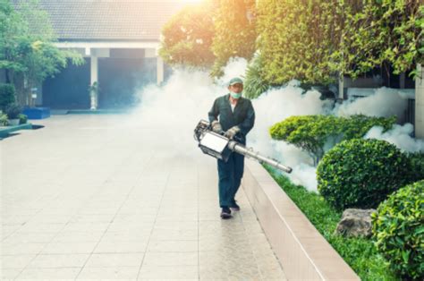 What is Fumigation Process in Pest Control? | Empire Pest Control