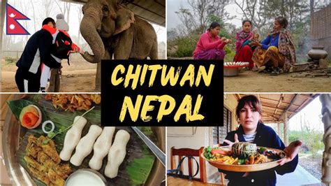 Chitwan Food Hunt | Traveling to Chitwan for Tharu Food !! | Nepal Food ...