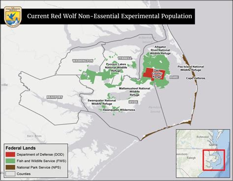 The 300: Red Wolf Populations in North Carolina – Eagle Examiner