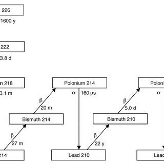 The Basic Radon ( 222 Rn) Decay Chain. The isotopes and their atomic ...